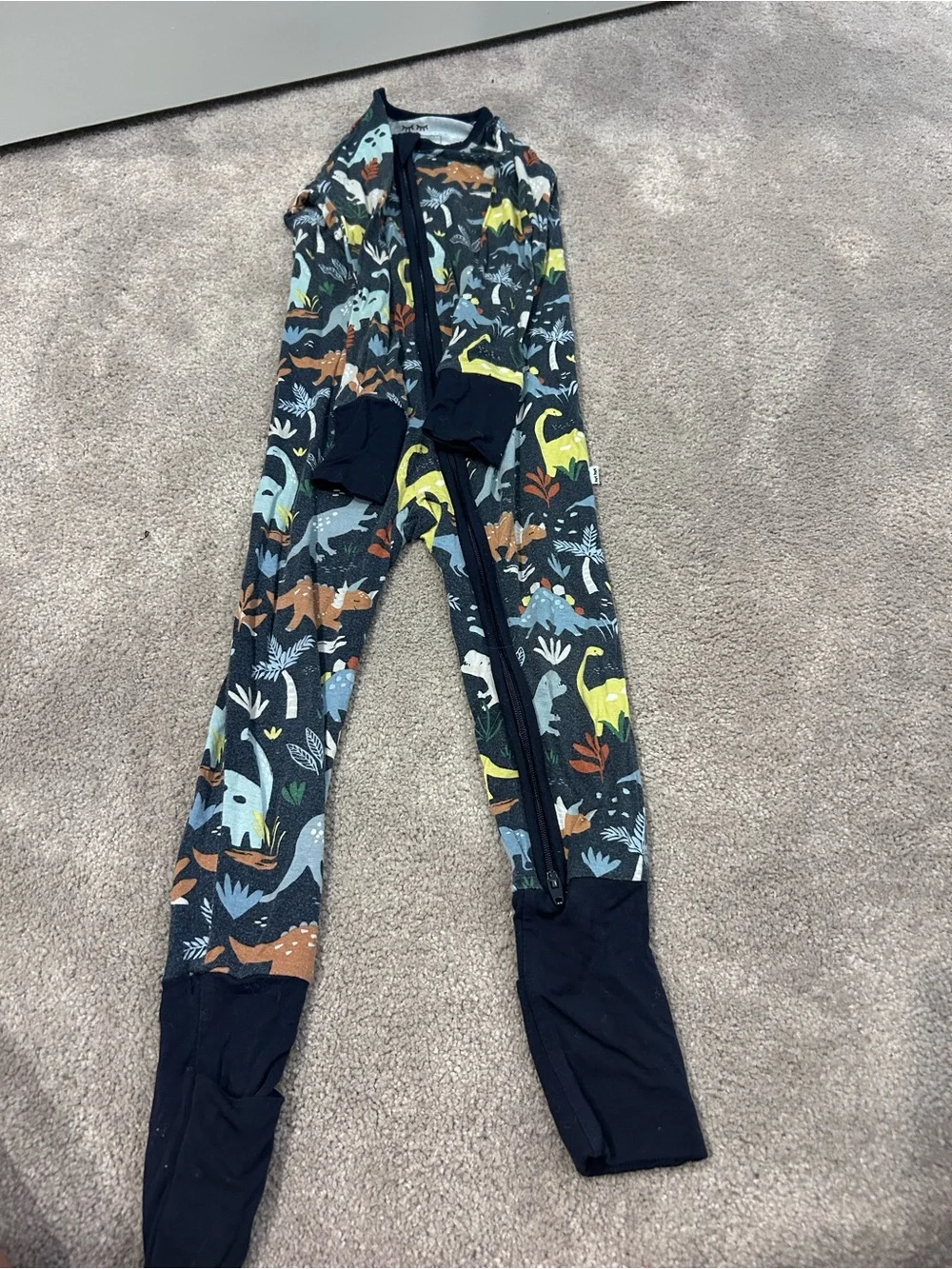 Dino Print Zippy
